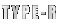 TYPE-R